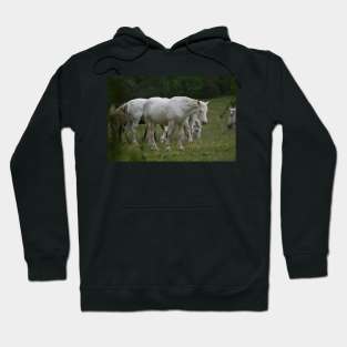 Wild Horse Hoodie